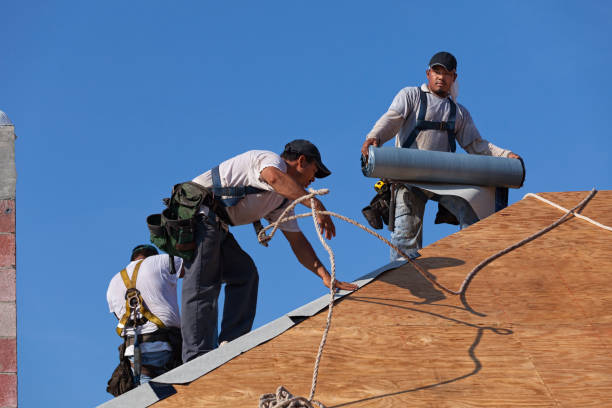 Best Roof Gutter Cleaning  in El Sobrante, CA