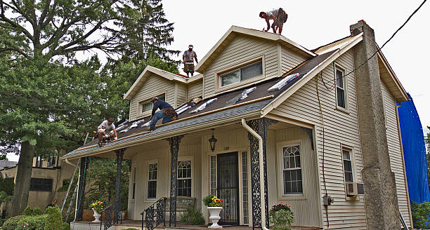 Professional Roofing Contractor in El Sobrante, CA
